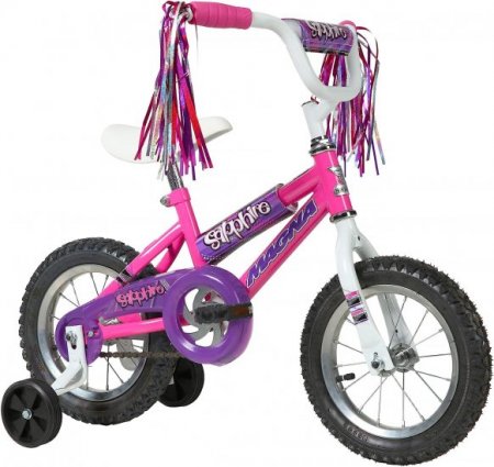 Magna Dynacraft Sapphire Bike, 12-20-Inch Wheels, Girls Ages 3-10 years old