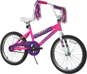 Magna Dynacraft Sapphire Bike, 12-20-Inch Wheels, Girls Ages 3-10 years old